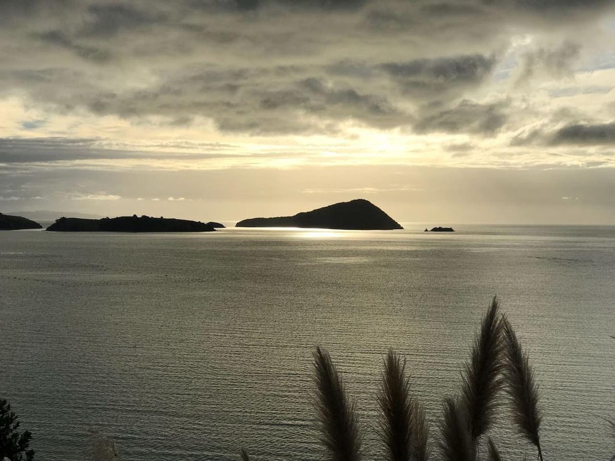 Island View Experience Villa Coromandel Exterior photo