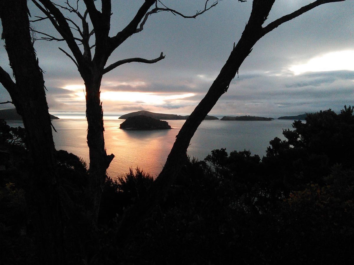 Island View Experience Villa Coromandel Exterior photo
