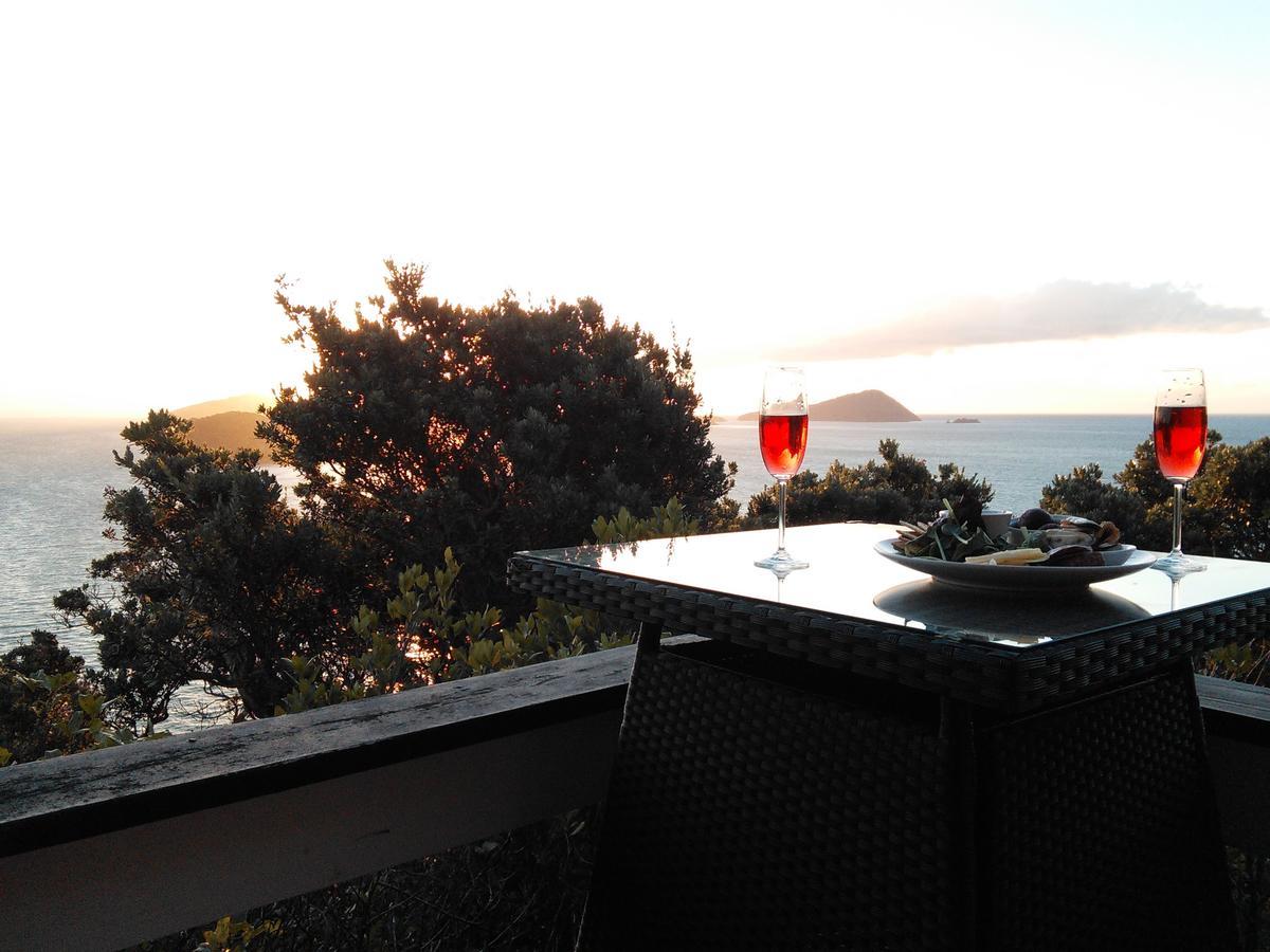 Island View Experience Villa Coromandel Exterior photo
