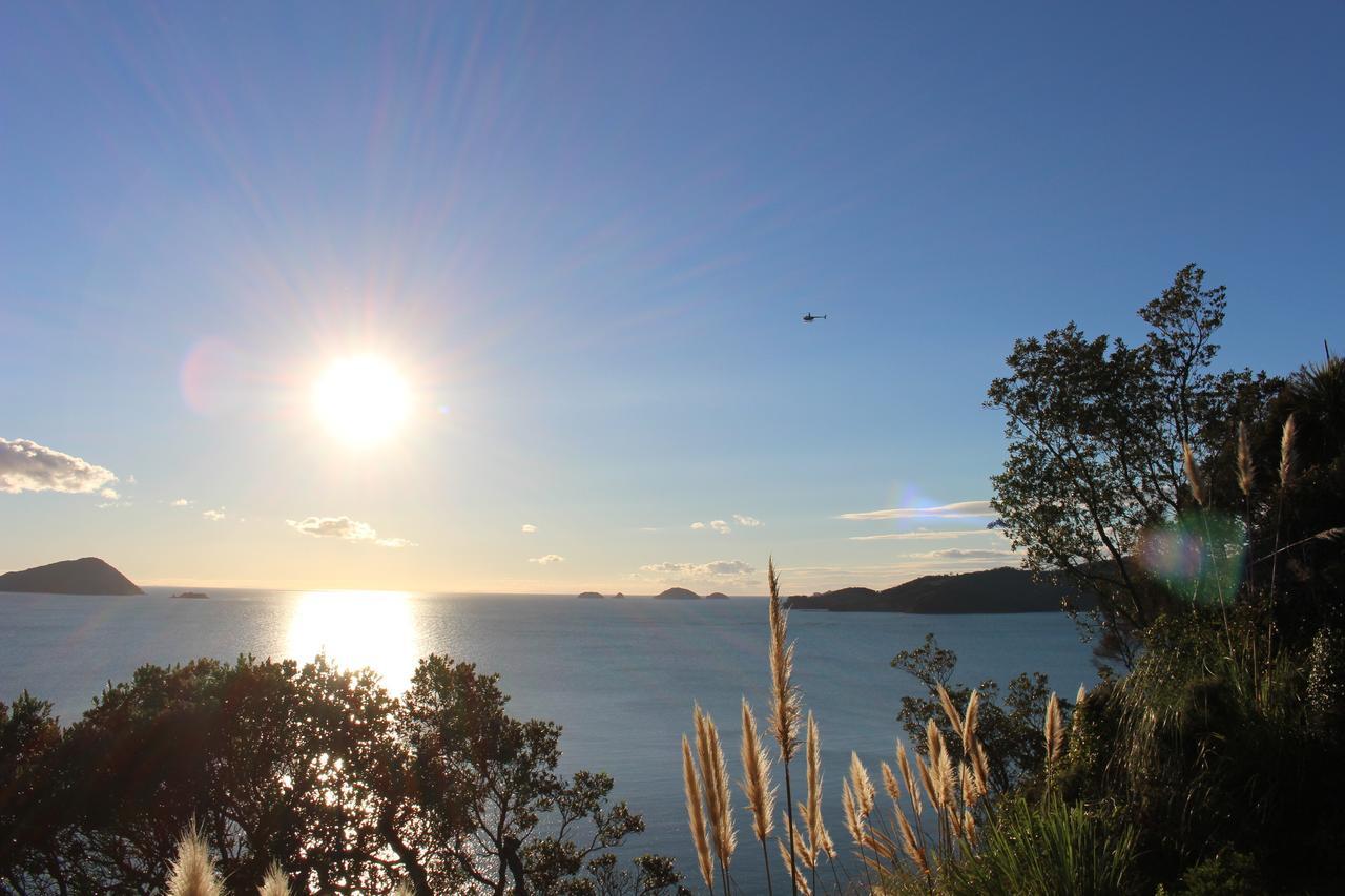 Island View Experience Villa Coromandel Exterior photo
